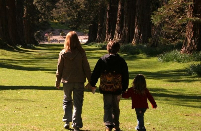 Nationalpark Drentsche Aa