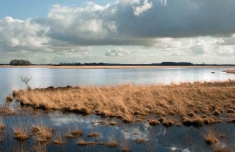 Nationalpark Dwingelderveld