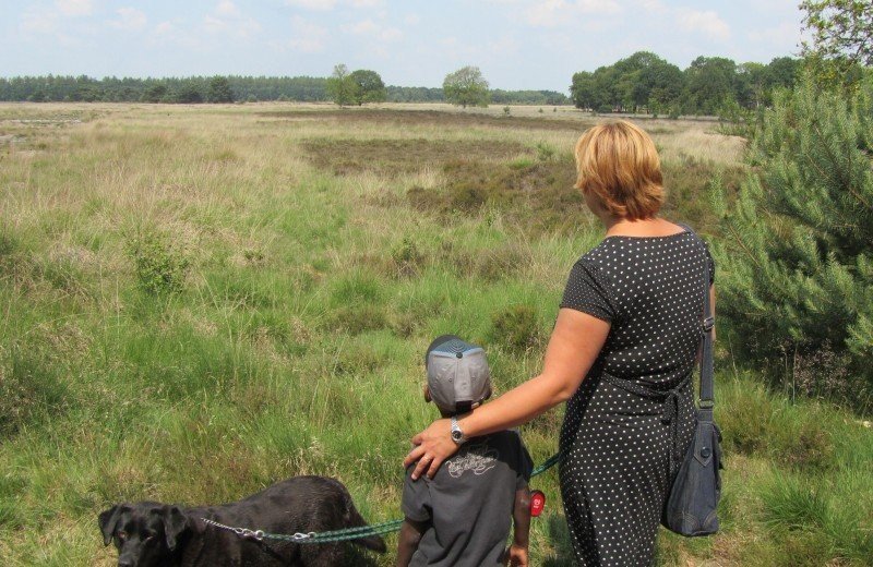 Hunde auf dem Campingplatz erlaubt!