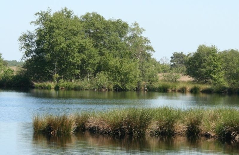 Nationalpark Weerribben-Wieden